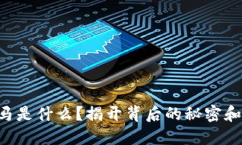 “虚拟币木马是什么？揭开背后的秘密和防范措施！”