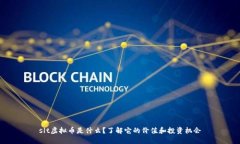 slt虚拟币是什么？了解它