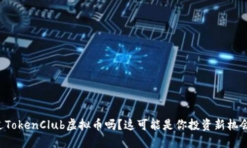 你听说过TokenClub虚拟币吗？这可能是你投资新机会的开端！