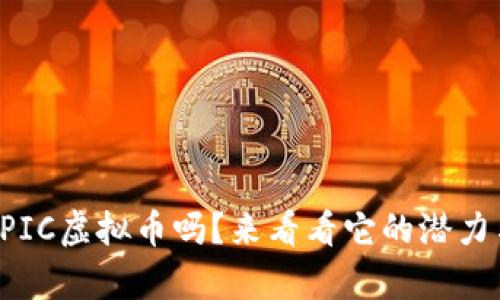 你了解PIC虚拟币吗？来看看它的潜力与前景！