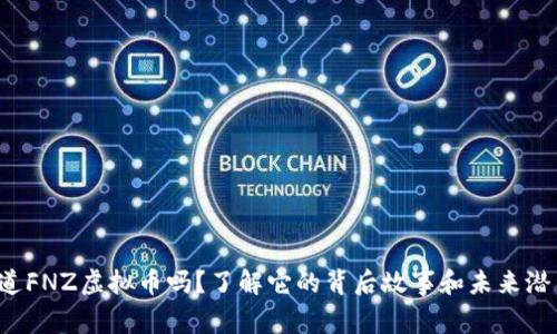 你知道FNZ虚拟币吗？了解它的背后故事和未来潜力吧！