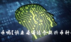 你了解Zinc虚拟币吗？快来
