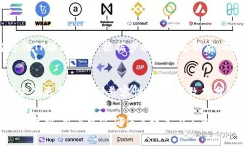 在信息技术领域，TP版本通常指的是