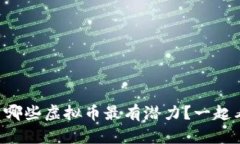 中国哪些虚拟币最有潜力