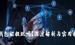 TP钱包能提现吗？深度解析
