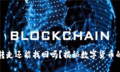 TP钱包币被转走还能找回吗