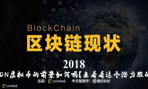 你知道NDN虚拟币的前景如何吗？来看看这个潜力股的未来吧！