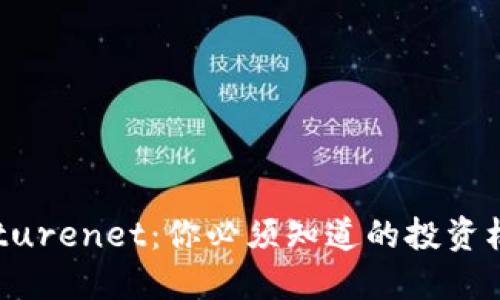 未来币Futurenet：你必须知道的投资机会与风险
