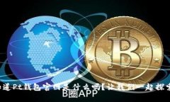你知道Pt钱包官网是什么吗？让我们一起探索吧！