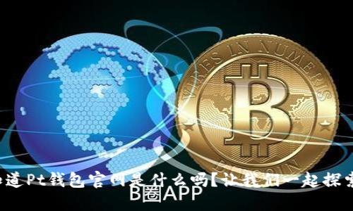 你知道Pt钱包官网是什么吗？让我们一起探索吧！