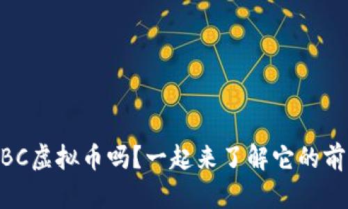 你知道IMBC虚拟币吗？一起来了解它的前景与潜力！