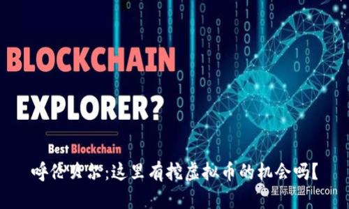 呼伦贝尔：这里有挖虚拟币的机会吗？