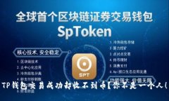 TP钱包交易成功却收不到币