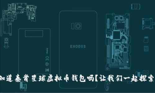 你知道泰肯星球虚拟币钱包吗？让我们一起探索吧！