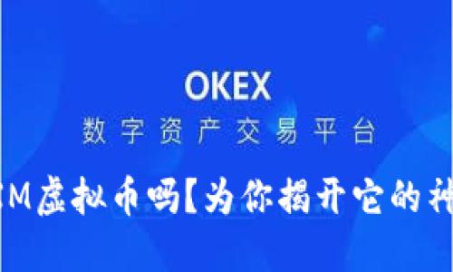 你知道XM虚拟币吗？为你揭开它的神秘面纱！