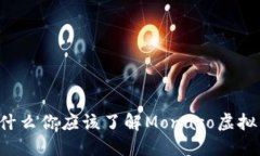 为什么你应该了解Monaco虚