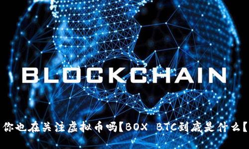 你也在关注虚拟币吗？BOX BTC到底是什么？