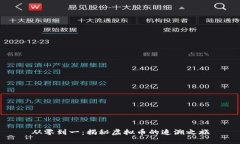 从零到一：揭秘虚拟币的