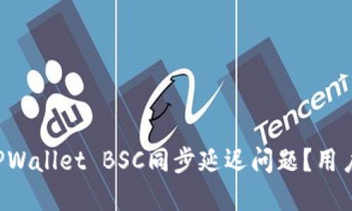 如何解决TPWallet BSC同步延迟问题？用户必看指南！