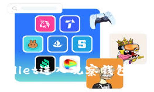 如何使用TPWallet进入观察钱包：一个完整的指南