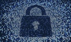 虚拟币平台的现状与未来