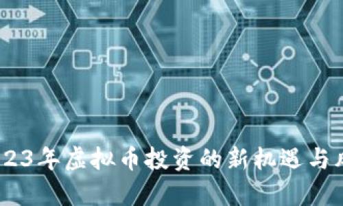 Pi币：2023年虚拟币投资的新机遇与风险解析