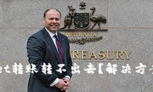 新导入的TPWallet转账转不出去？解决方案及常见问题解析