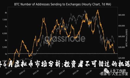2023年6月虚拟币市场分析：投资者不可错过的机遇与挑战