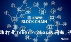 如何解决无法打开TokenPo