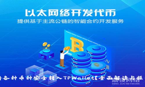 如何将各种币种安全转入TPWallet？全面解读与操作指南