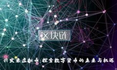 兴发米虚拟币：探索数字