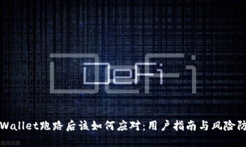 TPWallet跑路后该如何应对：用户指南与风险防范